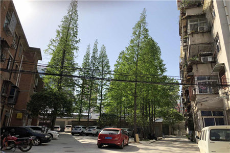 佳和美景，锦江城旁电梯中层大三房